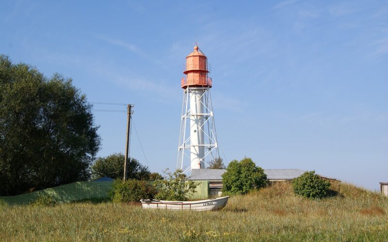 Papes bāka